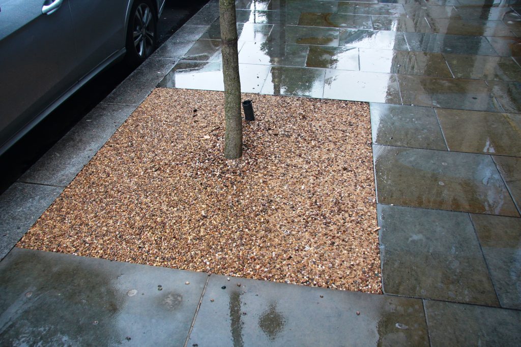 Photograph of tree pit dressed with resin-bound aggregate.
