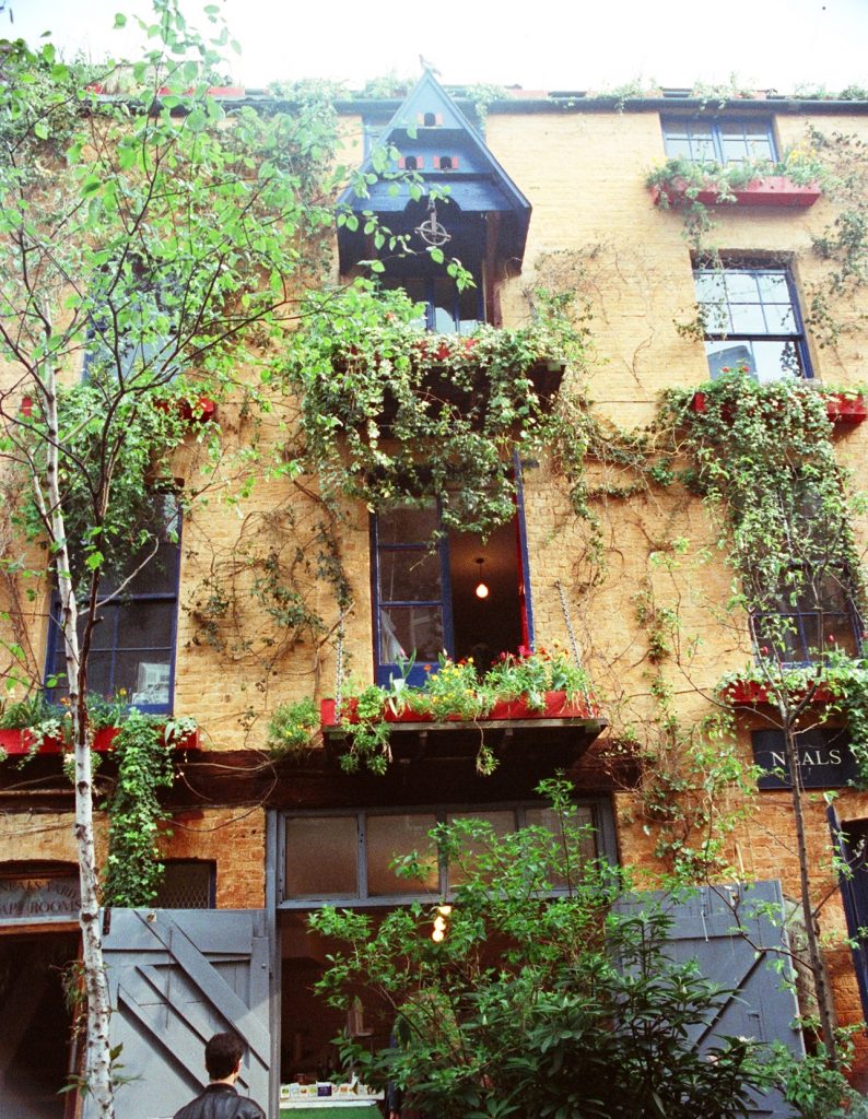 Photograph of planting in Neal’s Yard in window boxes, on hoist platforms and in tubs.